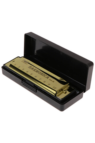 Choice1 Golden Harmonica Key of C 10 Hole Diatonic Harmonica C with Case for ...
