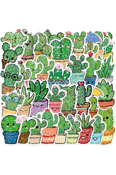 Choice ٥٠ قطعة من ملصقات نباتات الصبار اللطيفة، ملصقات جرافيتي على شكل نجوم ل...