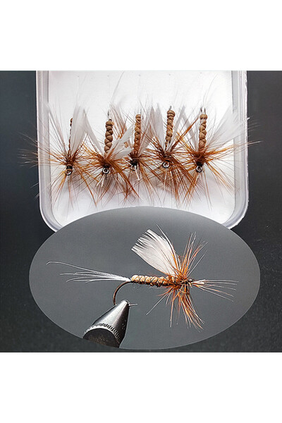Choice G-26-5 5 قطع/علبة ذباب مايو جاف - سرج غريزلي، أجنحة ذبابة مايو واقعية ...