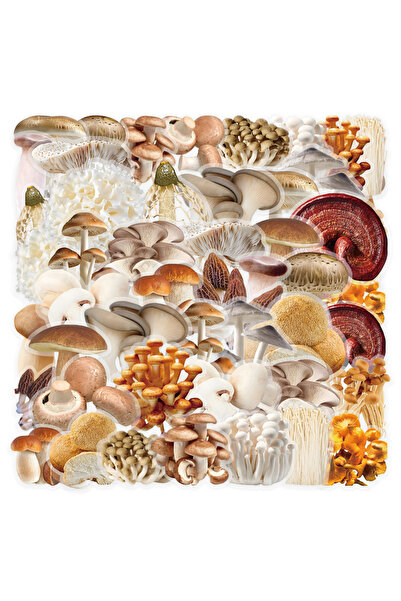 Choice 50 قطعة من ملصقات جرافيتي الفطر الشفافة المصنوعة من مادة PET، مناسبة ل...