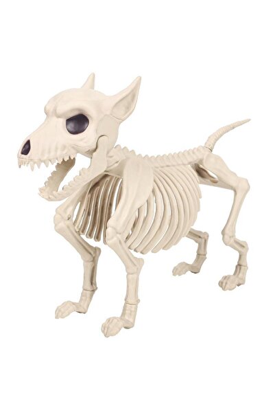 Choice زخرفة منزلية إبداعية لعيد الهالوين زخرفة هيكل عظمي لحيوان هيكل عظمي ذئ...