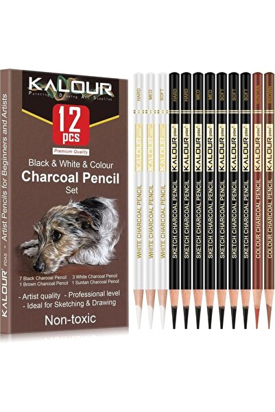 Choice 12 قلم رصاص كربوني بألوان متنوعة 6/12، قلم تحديد احترافي أبيض فحم أبيض...
