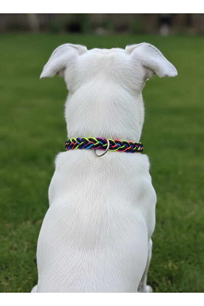 balkonda Dog Collar Adjustable Small, Medium and Large Breeds Scottish Rope &...