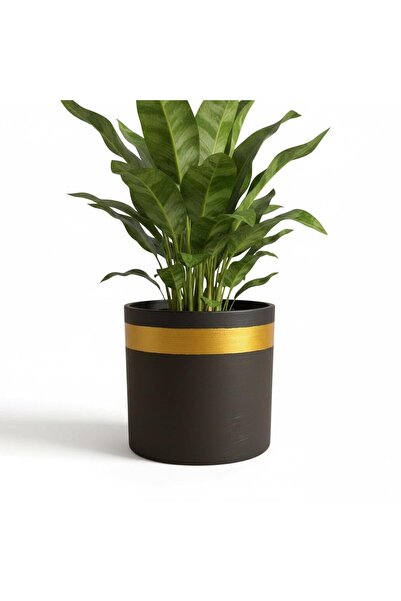 rilind Altın Bant Detaylı Mat Siyah El Yapımı Taş Tozu Dekoratif Saksı