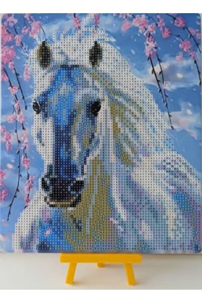 DUCK HOBY 21x25 Çocuklar İçin Boncuklu Taşlı Mozaik Elmas Boyama Goblen Pano ...