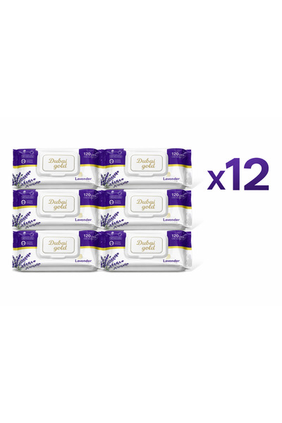 DUBAİ Pack of 12 wet wipes set 120pcs