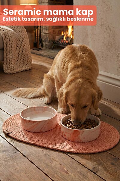 Pawicci 2'li Seramik Paspaslı Mama Kabı – Kaymaz Tabanlı Mama ve Su Kabı - Kedi ve Köpekler için Mama Kasesi