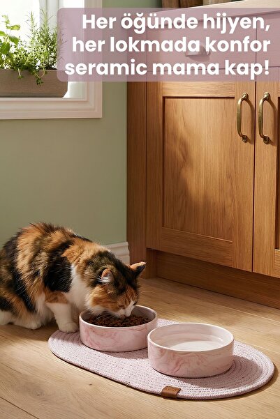 Pawicci 2'li Seramik Paspaslı Mama Kabı – Kedi ve Köpekler için Sağlıklı Mama Kasesi - Doğal Mama ve Su Kabı