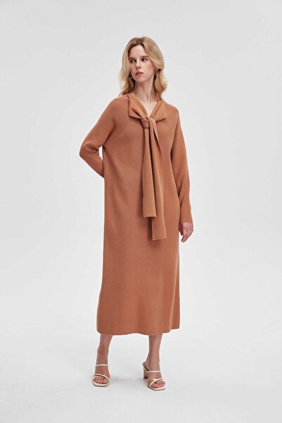 Nichii Brown Plain Maxi Long-Sleeve Dress