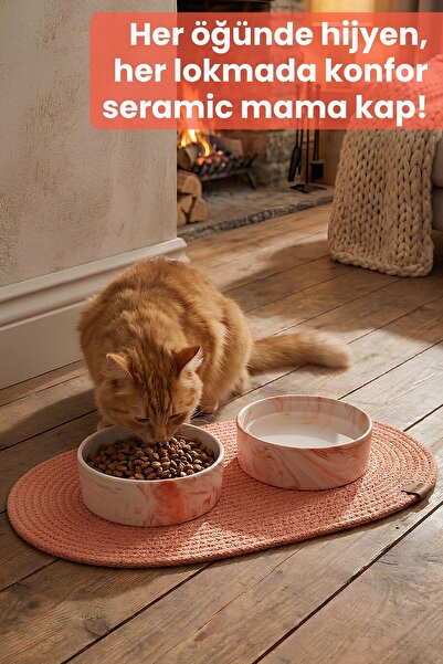 Pawicci 2'li Seramik Paspaslı Mama Kabı – Kaymaz Tabanlı Mama ve Su Kabı - Kedi ve Köpekler için Mama Kasesi