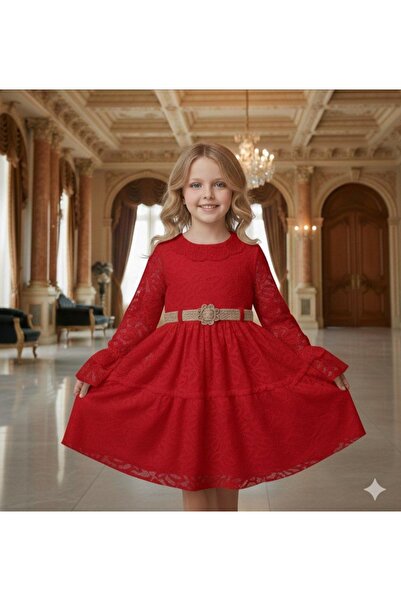 BEGONYA BEBECE KIDS Special Day Celebration Dresses Wedding Invitation Birthd...