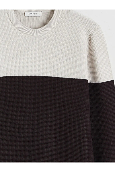 LC Waikiki Crew Neck Color Block Men's Knitwear Sweater