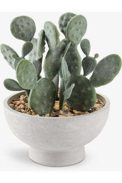 DavidaHome Cactus artificial, in ghiveci din ciment, verde, 22 cm
