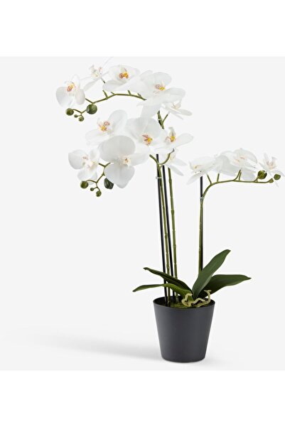DavidaHome Artificial orchid, white flower, green leaves, in pot, 62 cm
