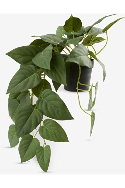 DavidaHome Planta curgatoare, artificiala, cu frunze verzi, in ghiveci, 43 cm