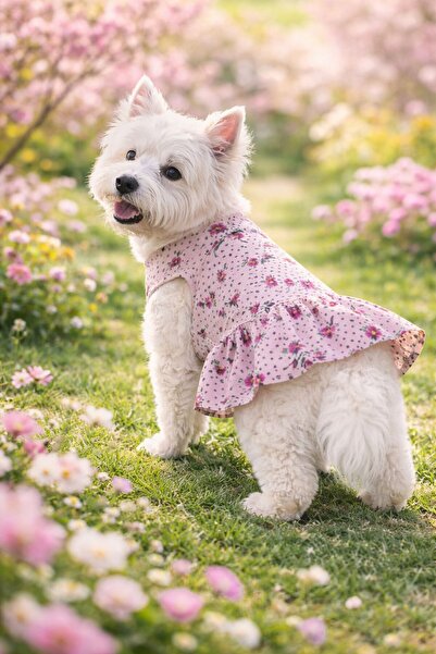 DOGİ&DOG ملابس الكلاب من نوع Small Breed Spring Days (1-10 كجم)