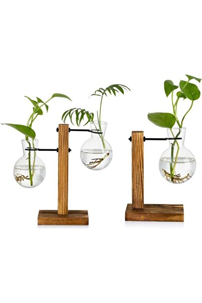 DOMEET حوض نباتات زجاجي إبداعي مع حامل خشبي