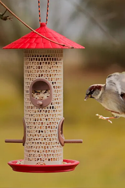 Genç 3D Klasik Kuş Yemliği | Bahçe ve Balkon Kuş Besleme Aparatı | Dekoratif ...