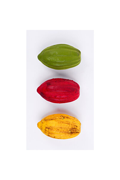 artizanmutfak Silicone Cocoa Fruit Pastry Mold
