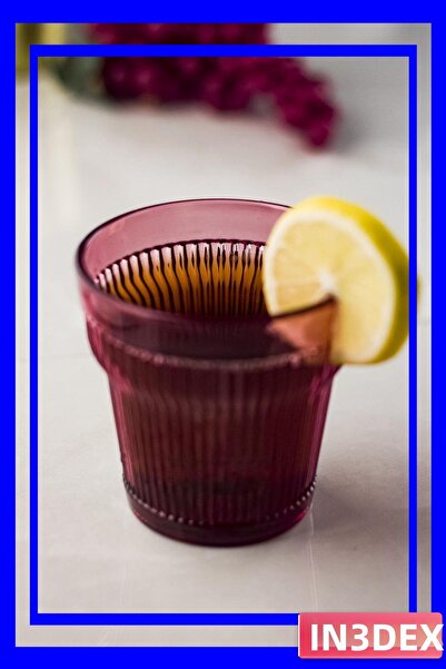 İN3DEX Unbreakable Acrylic Set of 6 Glasses 300ml Plum Color
