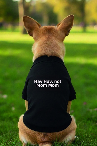 Advantage Hav Hav Not Wow Wow Written Cat Dog Outfit Tank Top Black Fun Print...