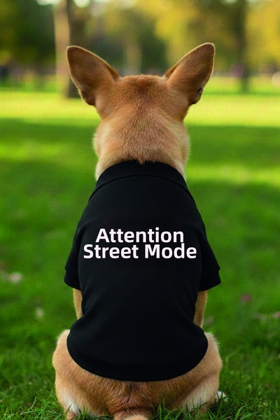 Advantage قميص داخلي للقطط والكلاب من Dikkat Street Mode، قميص داخلي أسود مضح...
