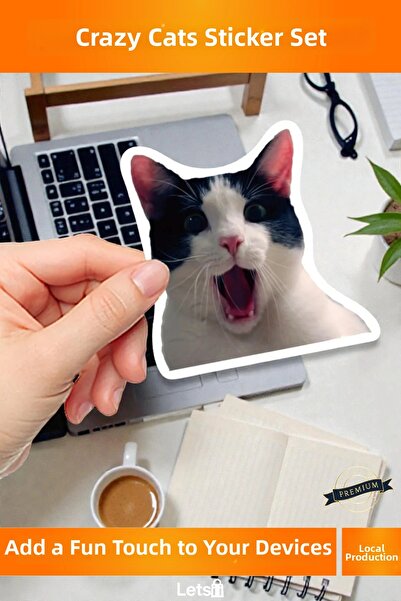 Letsii مجموعة ملصقات الهاتف اللوحية ماك بوك ذات الطابع المحلي من Crazy Cats
