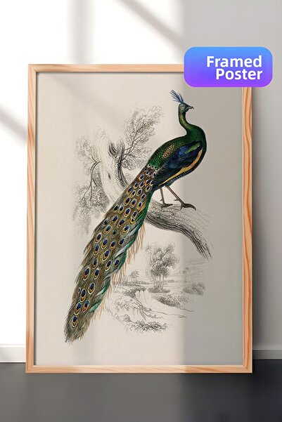 Postifull Pictură înrămată cu portret de păun, cadru din lemn și poster, pict...