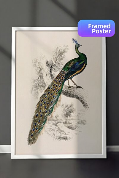 Postifull Pictură înrămată cu portret de păun, cadru alb și poster, pictură d...