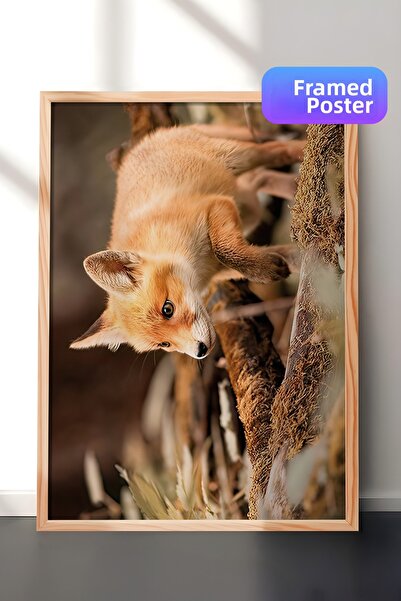 Postifull Pictură înrămată cu rafinament Forest Fox, cadru din lemn și poster...