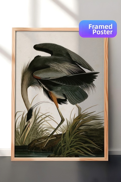 Postifull Pictură înrămată Great Heron, cadru din lemn și poster, pictură ver...