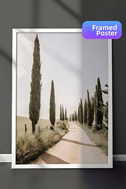 Postifull Ζωγραφική με κορνίζα Cypress Tree Alley, λευκό πλαίσιο και αφίσα, ζ...