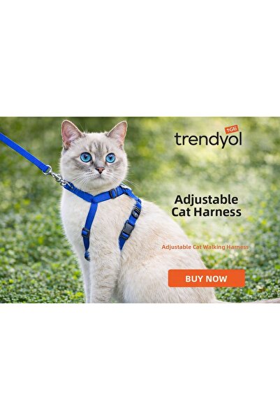 CNSZ طوق للقطط قابل للتعديل، غير قابل للكسر/ مناسب لكل القطط، 5 خيارات ألوان