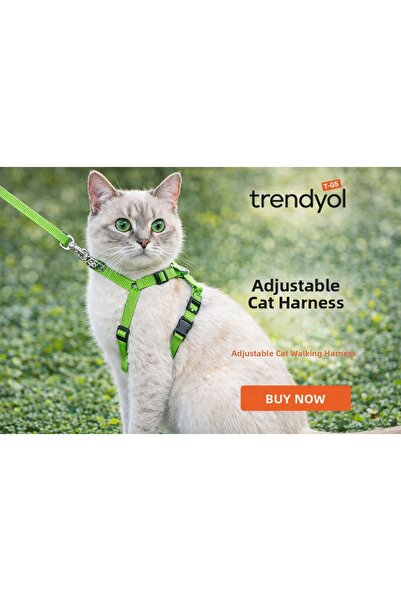 CNSZ طوق للقطط قابل للتعديل، غير قابل للكسر/ مناسب لكل القطط، 5 خيارات ألوان