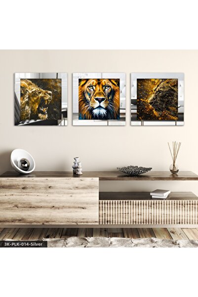 Evinemoda Aslan 3 Piece Silver Plexi Mirrored Framed Painting