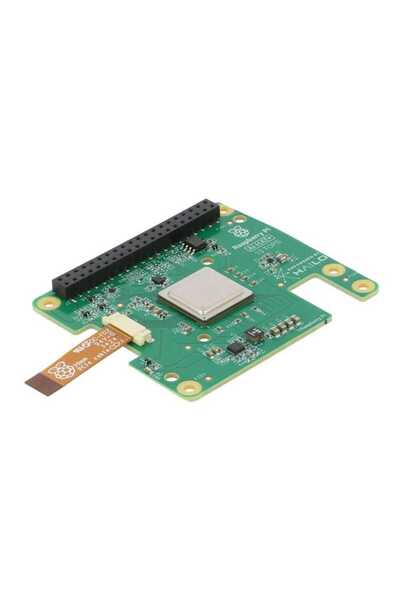Raspberry Pi Aı Hat (13T)