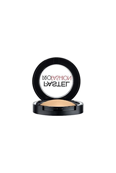 Pastel Profashion Terracotta Wet and Dry Powder 53 6.5g