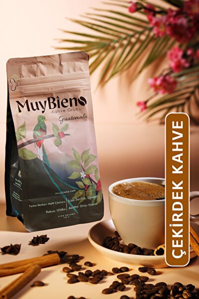Muybieno Guatemala Huehuetenango 250 gr Çekirdek Kahve