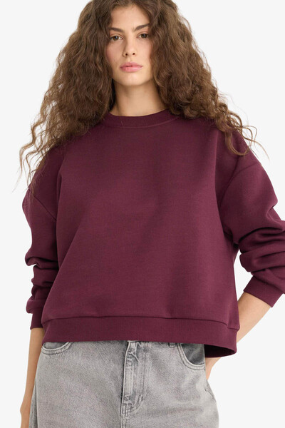 DeFacto Regular Fit Crew Neck Thick Basic Claret Red Women's Sweatshirt D6645...