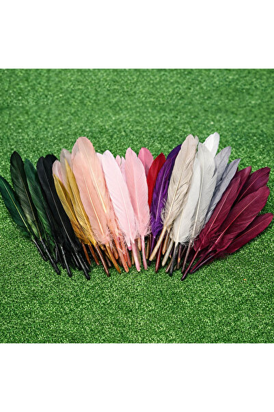 bidoluhobi Kuş Tüyü Renkli 100 Adet