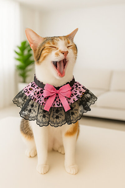 Minikpaw aksesuar طوق دانتيل للقطط والكلاب من السلالات الصغيرة