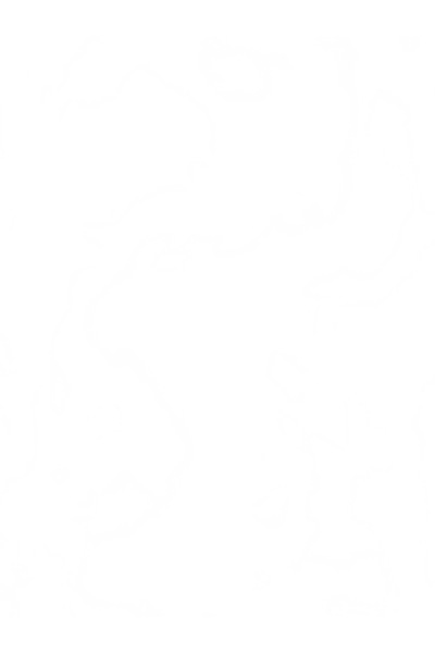 niyazi سكوتر كهربائي