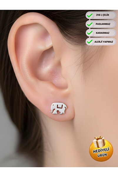 Piercing Market Steel & Silver زوج واحد من الأقراط المقاومة للبهتان والتشويه ...