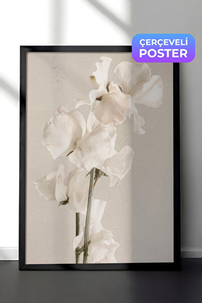 Postifull U punom cvatu, uokvirena slika, crni okvir i poster, vertikalna zid...