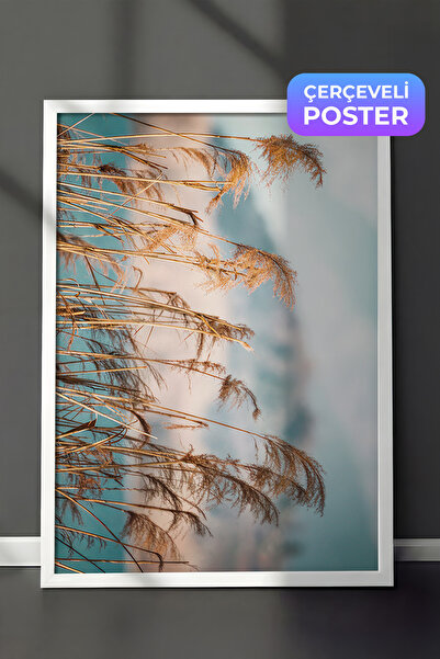 Postifull Trske pored jezera, uokvirena slika, beli okvir i poster, zidna sli...