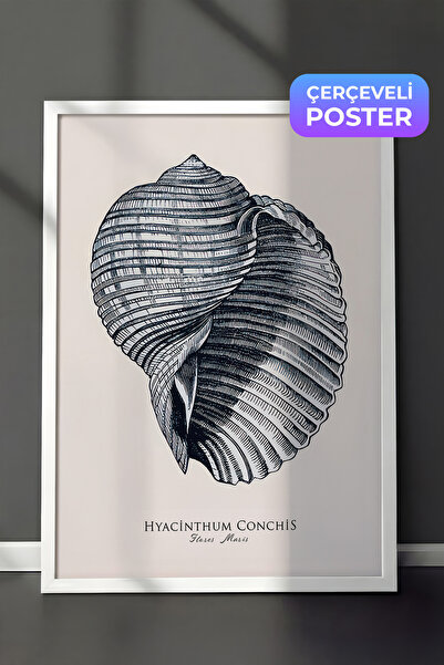Postifull Blue Seashell  Çerçeveli Tablo, Beyaz Çerçeve ve Poster, Duvar Tabl...