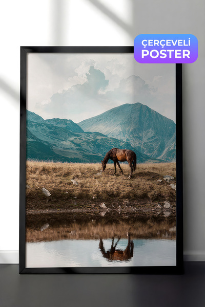 Postifull Slika uokvirena sa visokogorskim konjem, crni okvir i poster, serij...