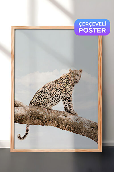 Postifull Slika uokvirena leopardom koji se odmara, drveni okvir i poster, zi...