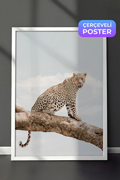 Postifull Slika uokvirena leopardom koji se odmara, beli okvir i poster, zidn...