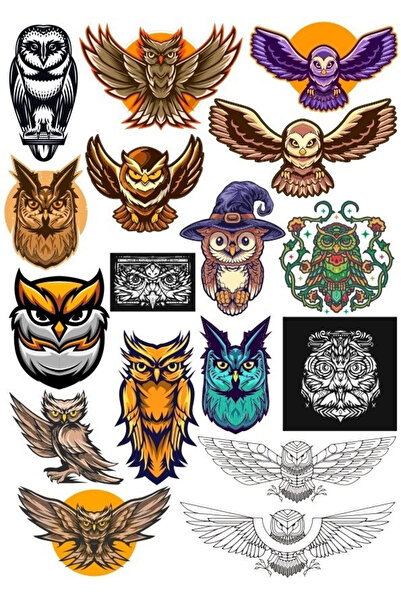 Reysa Tasarım مجموعة ملصقات Owl OWL-16 مكونة من 17 قطعة للهاتف والكمبيوتر الل...